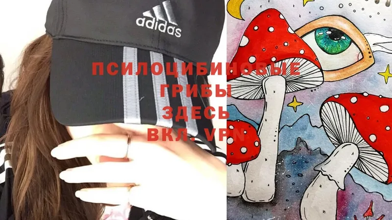 купить наркотик  Спасск-Рязанский  Псилоцибиновые грибы MAGIC MUSHROOMS 